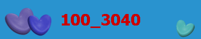100_3040