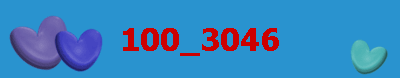100_3046