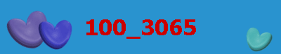 100_3065
