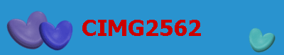 CIMG2562