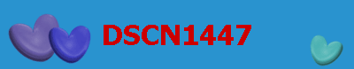 DSCN1447