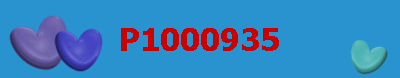 P1000935