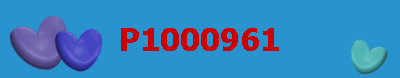 P1000961