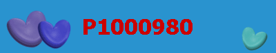 P1000980