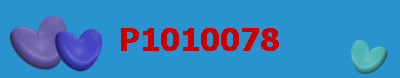 P1010078
