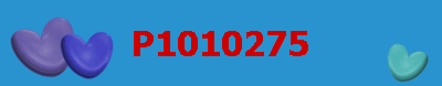 P1010275