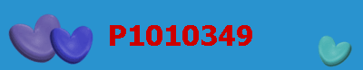 P1010349
