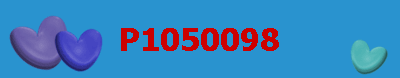 P1050098