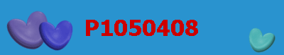 P1050408