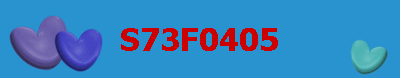 S73F0405