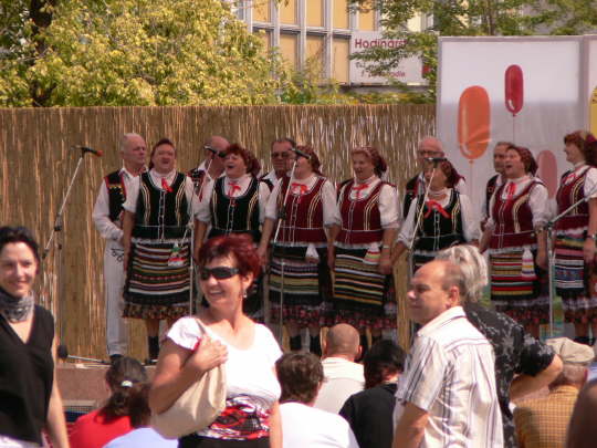 P1050098